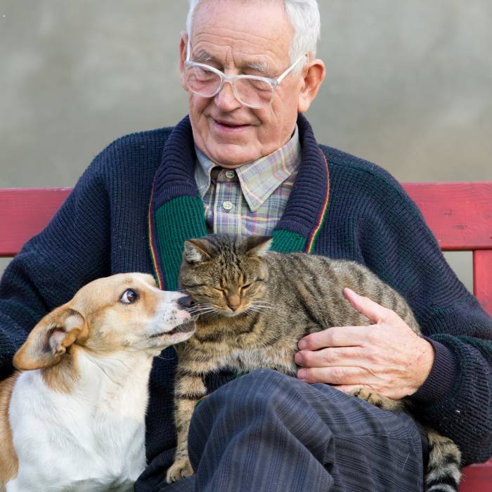 cat and dog with a older man cat and dog with a older man