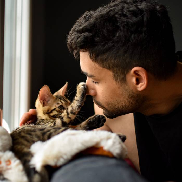 cat play with men cat play with men