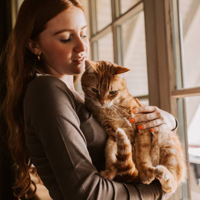 girl holding the pet girl holding the pet