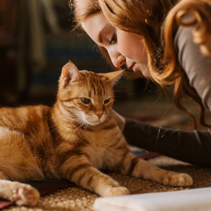 girl with cat girl with cat