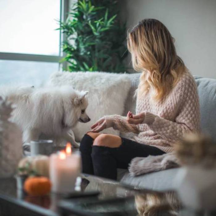 pet with a girl pet with a girl