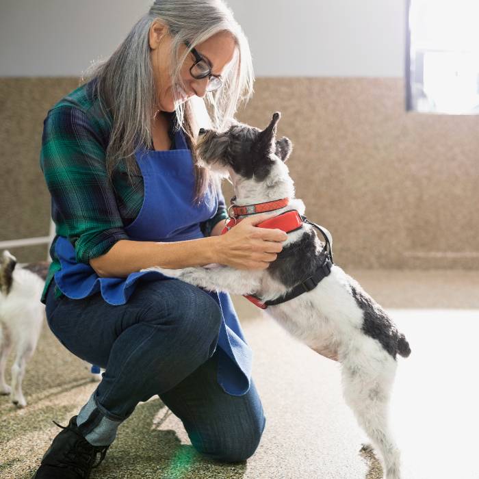 women play with pet women play with pet
