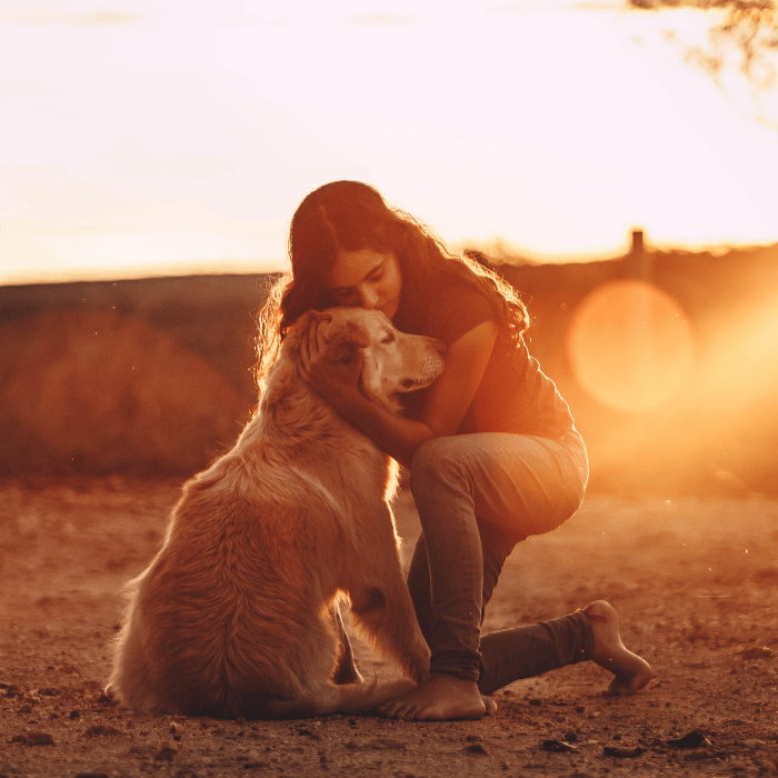person holding their pet person holding their dog at sunset